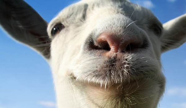 goat simulator