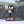 shadow482