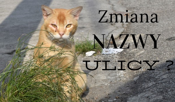 Zmiana nazwy ulicy ?