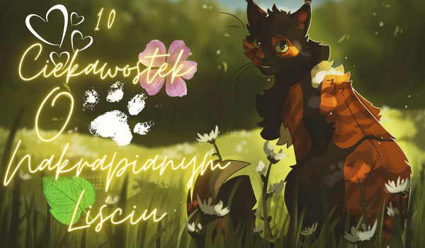 10 Ciekawostek o Nakrapianym Liściu