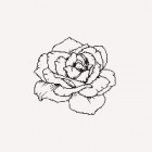 Paper_Bubble