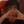 Kitty_2137