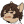 Dazai_x_Chuuya