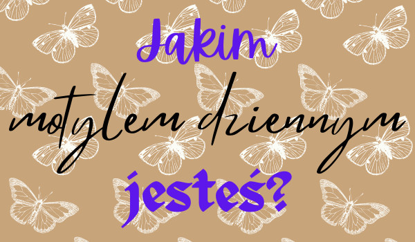 Jakim motylem dziennym jesteś?
