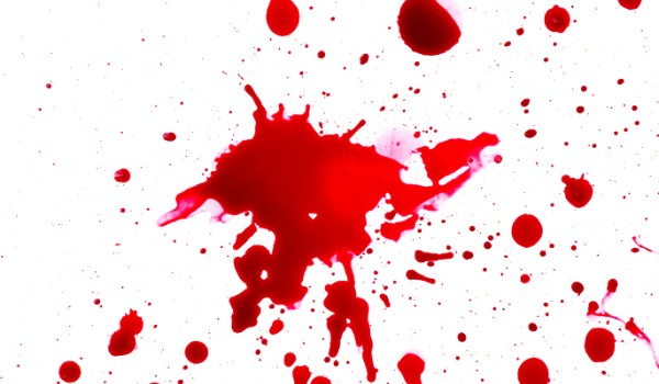 stary gołębiarz 8#