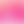 Martynia_hello