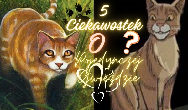 5 Ciekawostek o Pojedynczej Gwieździe