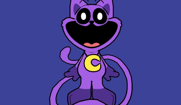 Test wiedzy o CatNapie