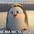 Kacper_1234