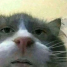 Twojaamamaa2137