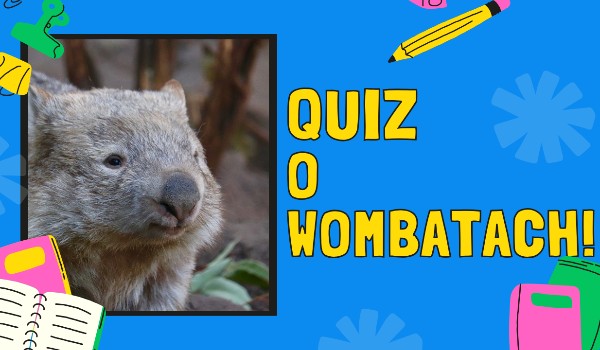 Quiz o Wombatach!