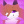 Aurora_Fox
