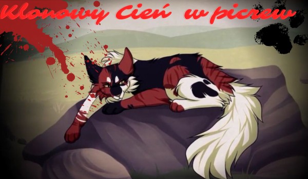 Klonowy Cień jako kot w picrew