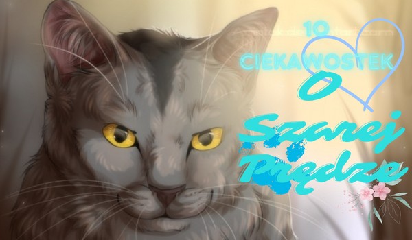 10 Ciekawostek o Szarej Prędze