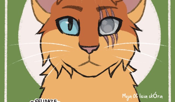 Przetrwanie profili dzień #4!