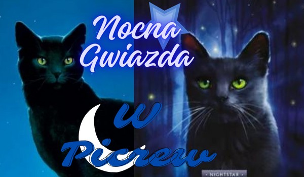 Nocna Gwiazda jako kot w picrew