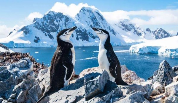 Antarctica and Australia