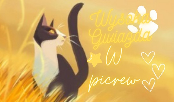 Wysoka Gwiazda jako kot w picrew