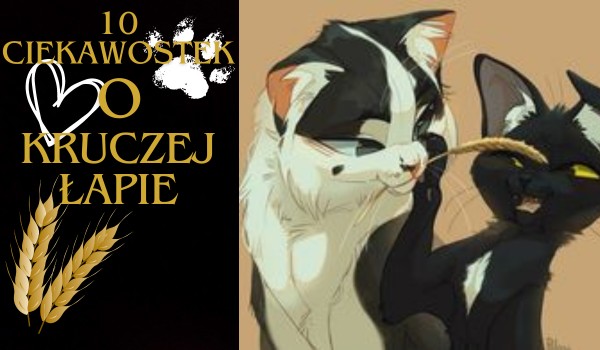 10 Ciekawostek o Kruczej Łapie