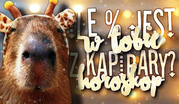 Ile % jest w Tobie z kapibary? – horoskop!