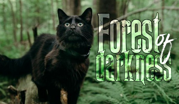 – Forest of darkness – chapter one