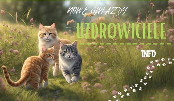 Nowe Gwiazdy Uzdrowiciele – info