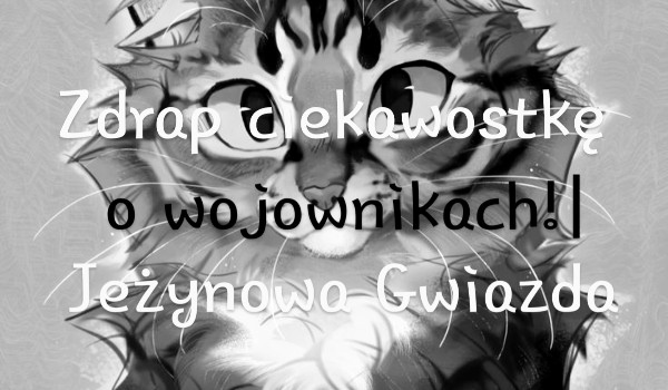 Zdrap ciekawostkę o wojownikach!| Jeżynowa Gwiazda