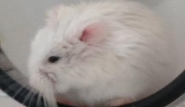 test z wiedzy z matemayki