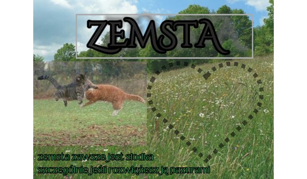 Zemsta ~one shot~