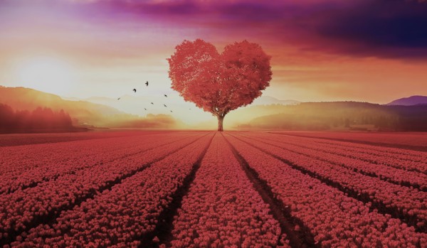 jak bardzo kochają Cię twoi rodzice