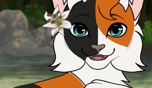 Klan Szczawiu – Dodatek