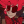 Alastor_R