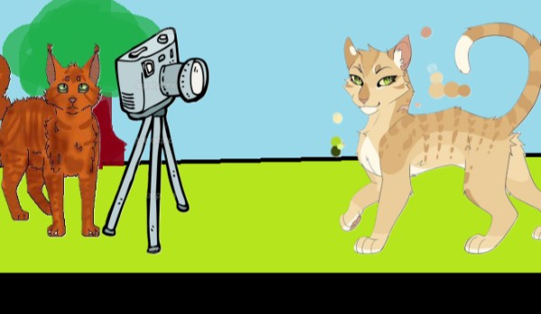 Piaskowa tworzy kanał na KociTubie *Parodia*