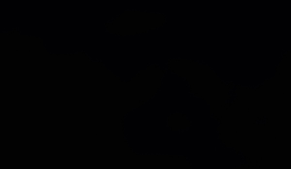 Special 2/2 z okazji 100 obs-Robię moich obs w Roblox!