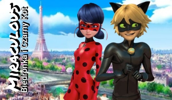 Pogadanka o Miraculum: Biedronka i Czarny Kot – część 58