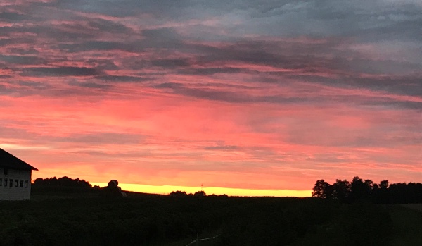 Czy ta tapeta ci się podoba?