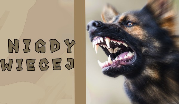 Nigdy więcej •część 2•