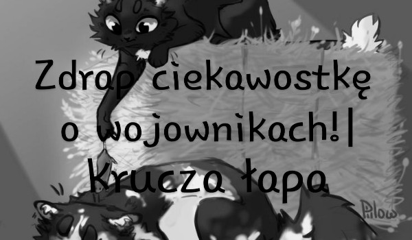 Zdrap ciekawostkę o wojownikach!| Krucza Łapa