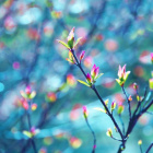 Najpiekniejsze_Grafiki