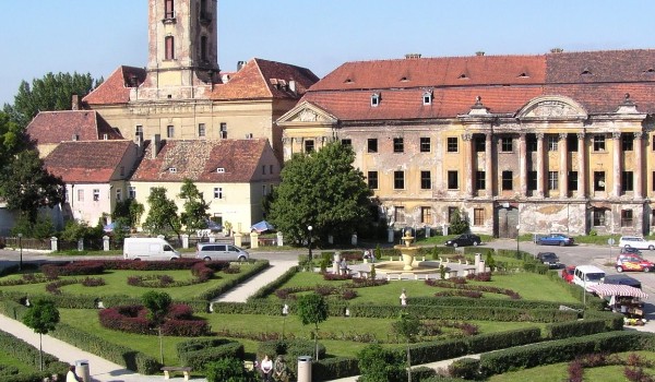 Test wiedzy o Żarach