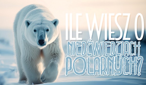 27. Lutego jest Światowy Dzień Polarnego Niedźwiedzia! – Ile o nich wiesz?!