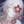 edge_