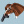 Kht.Artihobbyhorse