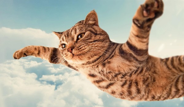 Jak dobrze mnie znasz pt 4