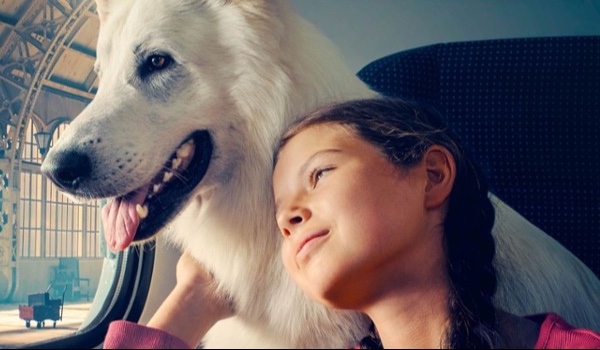 O psie który jeździł koleją ️