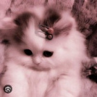 bunny...
