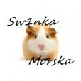Sw1nkaMorska