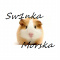 Sw1nkaMorska