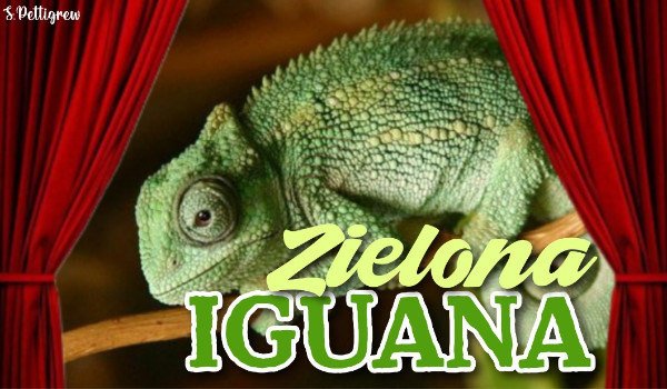 Zielona Iguana | Herbatka w Wieży Północnej