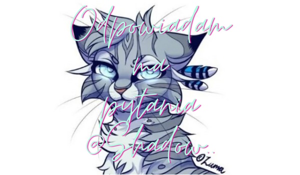 Odpowiadam na pytania od @Shadow..